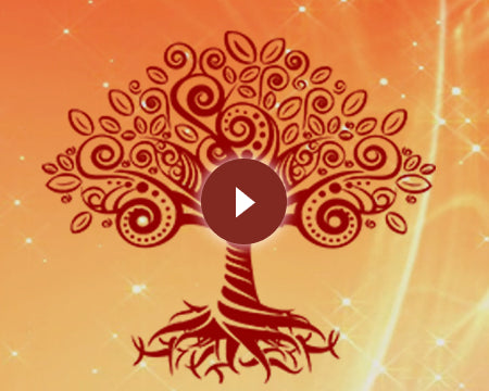 ЗАКЛИНАННЯ ДУЙКО частина 1