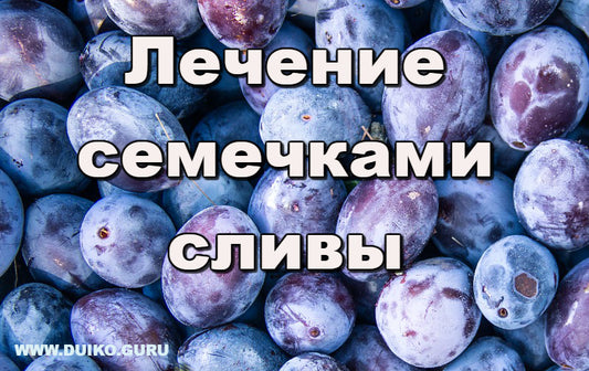 Лечение сливой