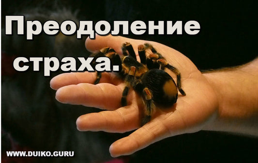 Искусство преодоления внутренних страхов Эзотерика онлайн