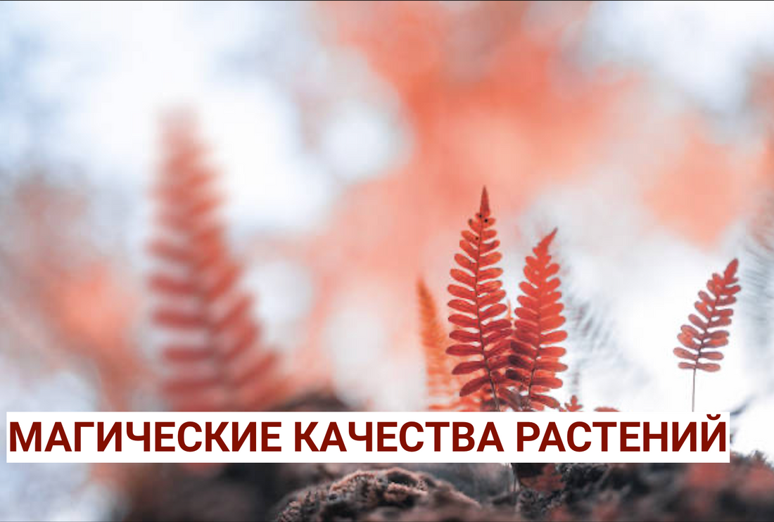 Магия растений в практической эзотерике