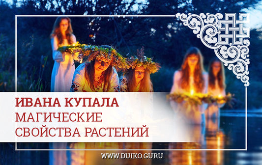 Обряды на Ивана Купала как найти цветок?