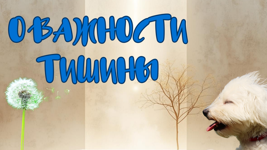 Тишина: Пространство Силы и Внутреннего Пробуждения