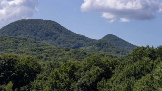 Гірський цілительний семінар Андрія Дуйко "Відновлення"