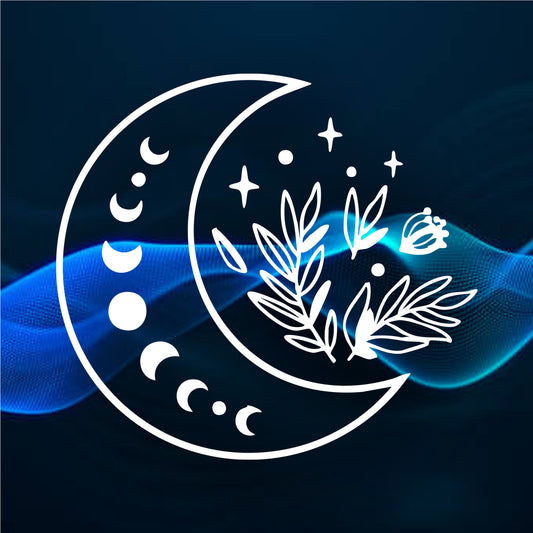 ШУМ Видалення магів і ворогів