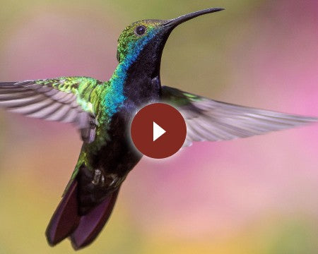 МЕТОДИ ВИКОНАННЯ БАЖАНЬ