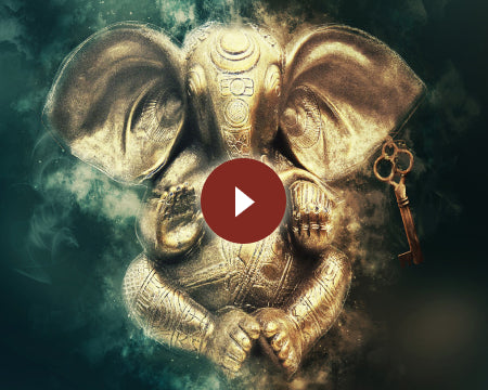 Sunshine Kokon Цілітельство