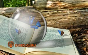 Стеклянный шар на книжке в лесу
