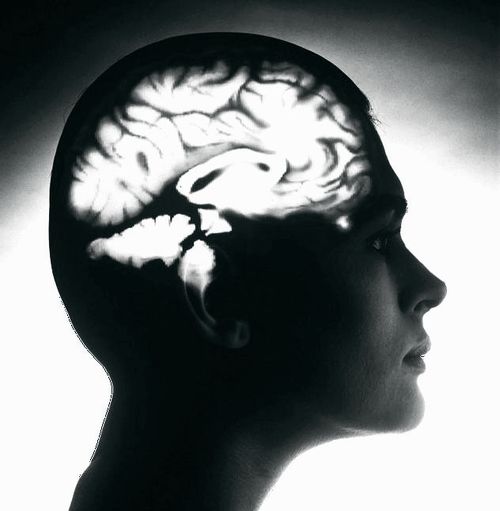 Единый мозг 3 в 1. Люди с одним полушарием мозга фото. Мозг 90 летнего человека. Единый мозг. Мозги утекают.